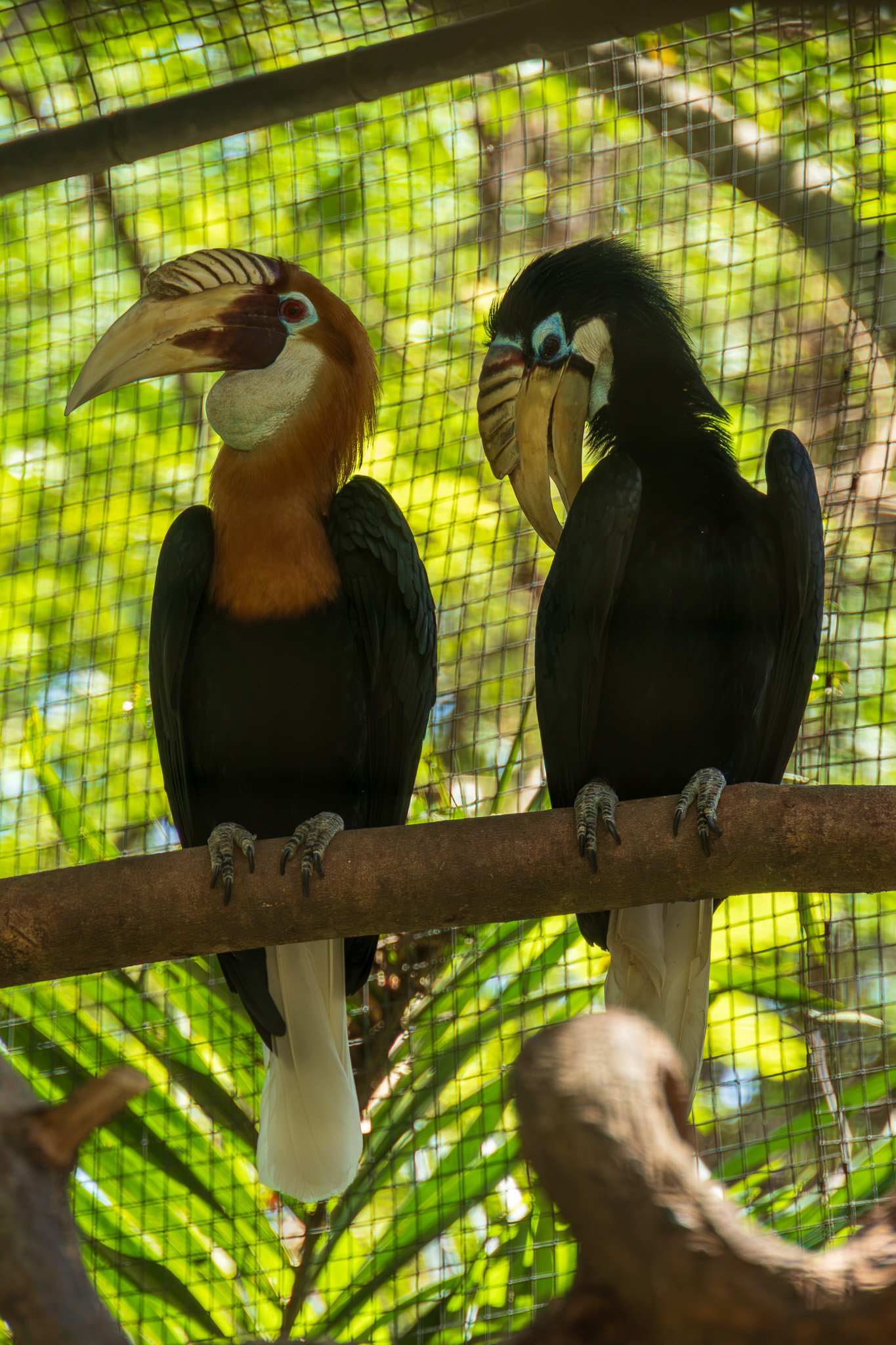 papua_17set26_0049.jpg