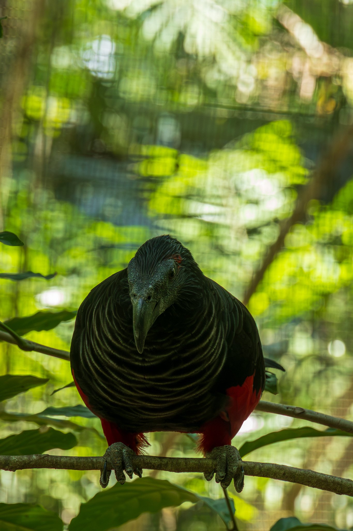 papua_17set26_0057.jpg