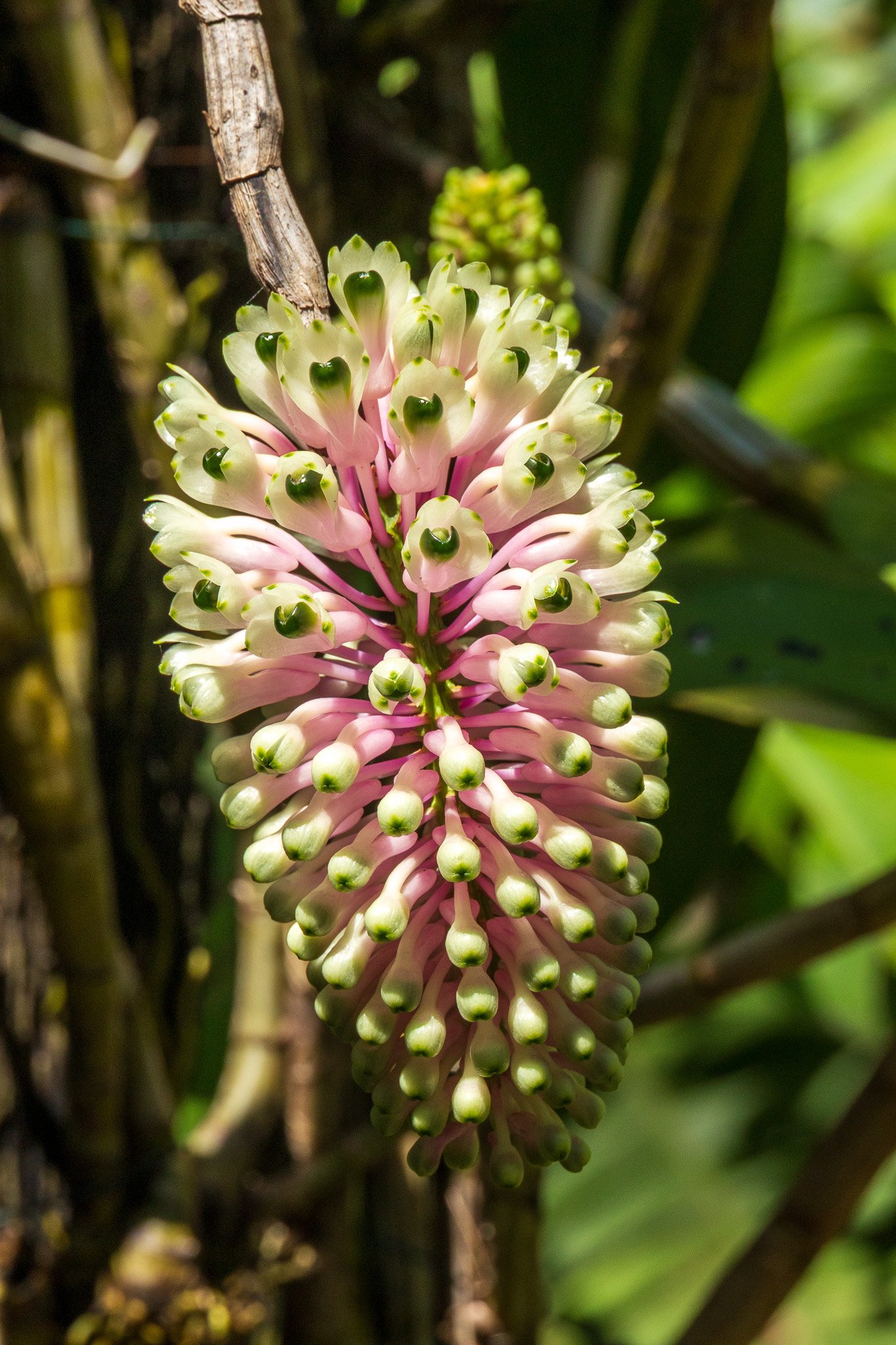 papua_17set26_0076.jpg