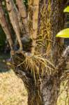 papua_17set26_0077_small.jpg