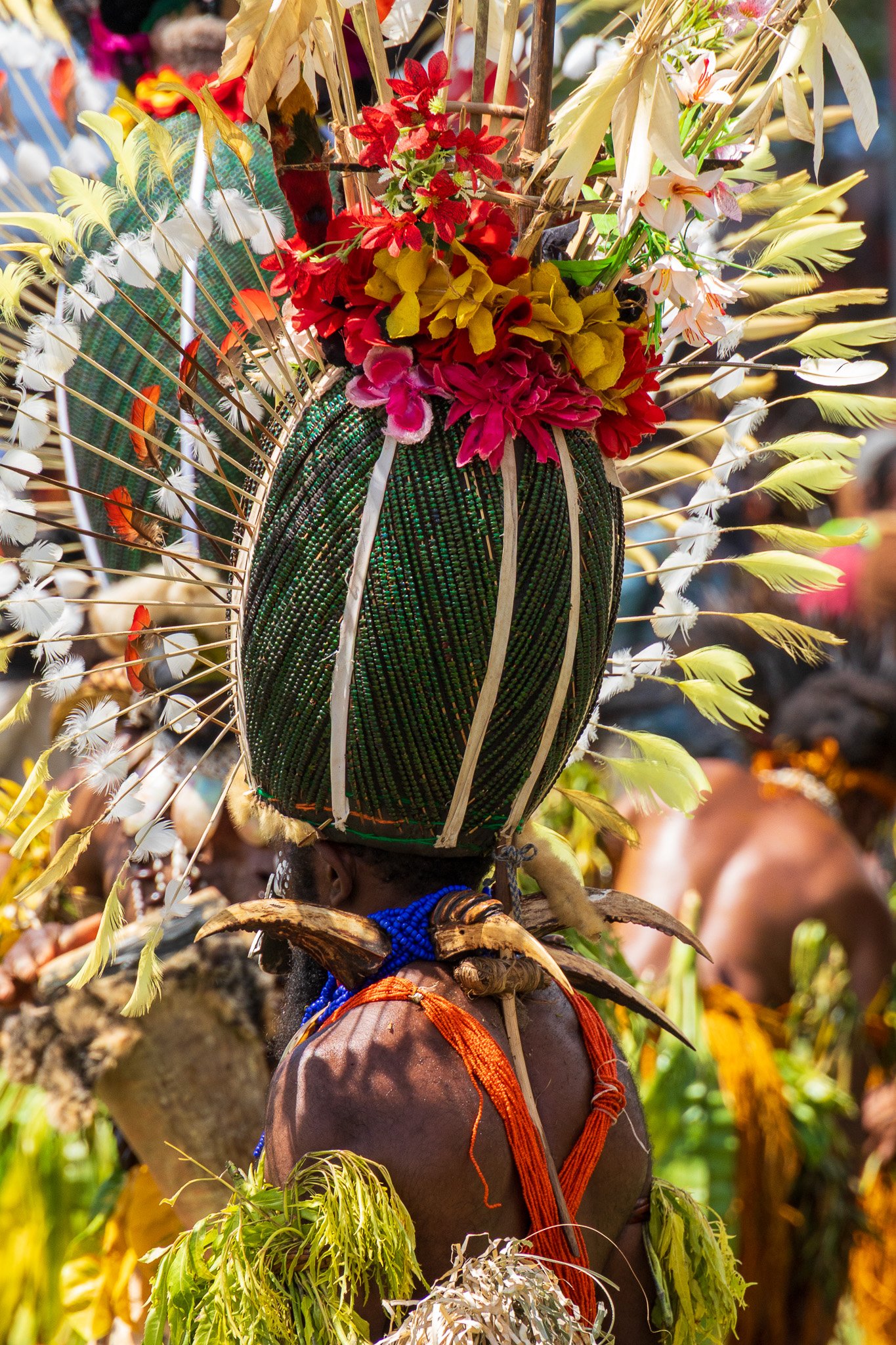 papua_19set26_0308.jpg