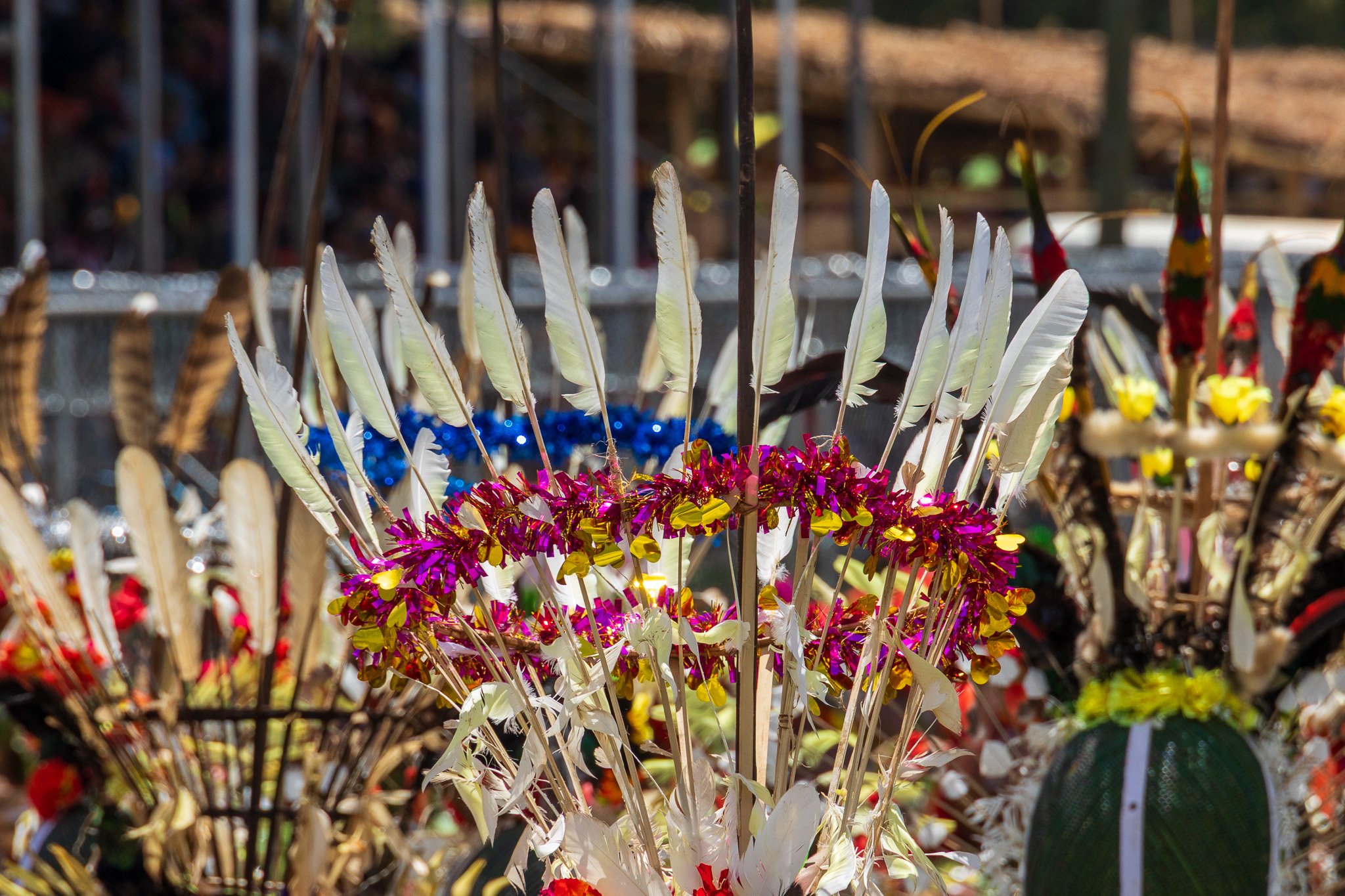 papua_19set26_0325.jpg
