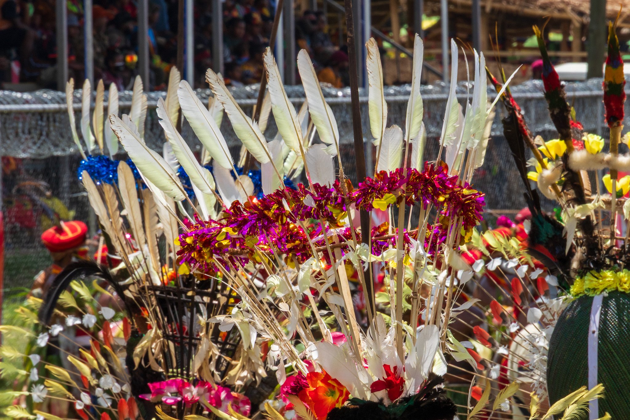 papua_19set26_0326.jpg