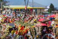papua_19set26_0330_small.jpg