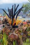 papua_19set26_0444_small.jpg