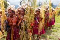 papua_19set26_0486_small.jpg