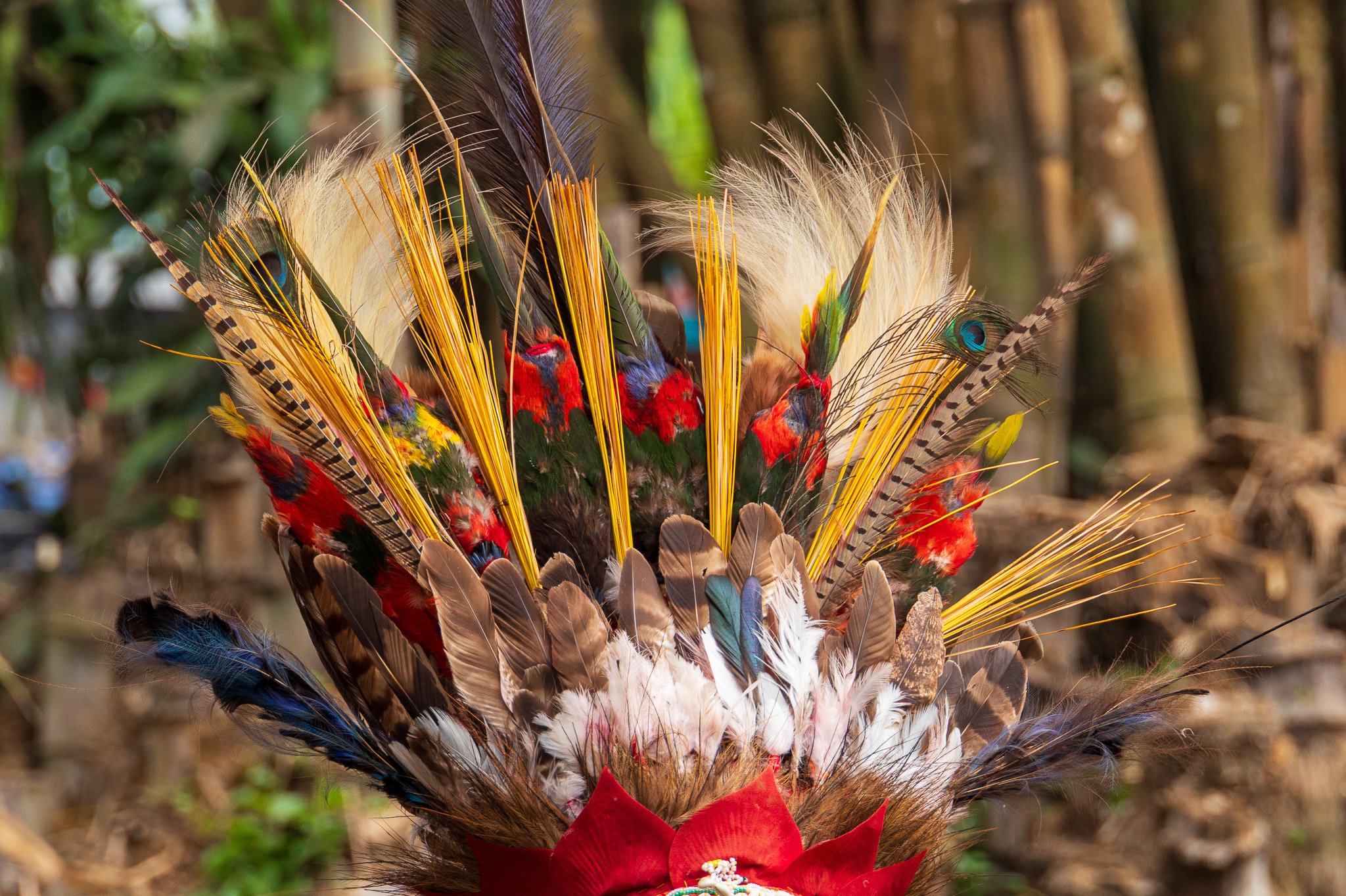papua_20set26_0971.jpg