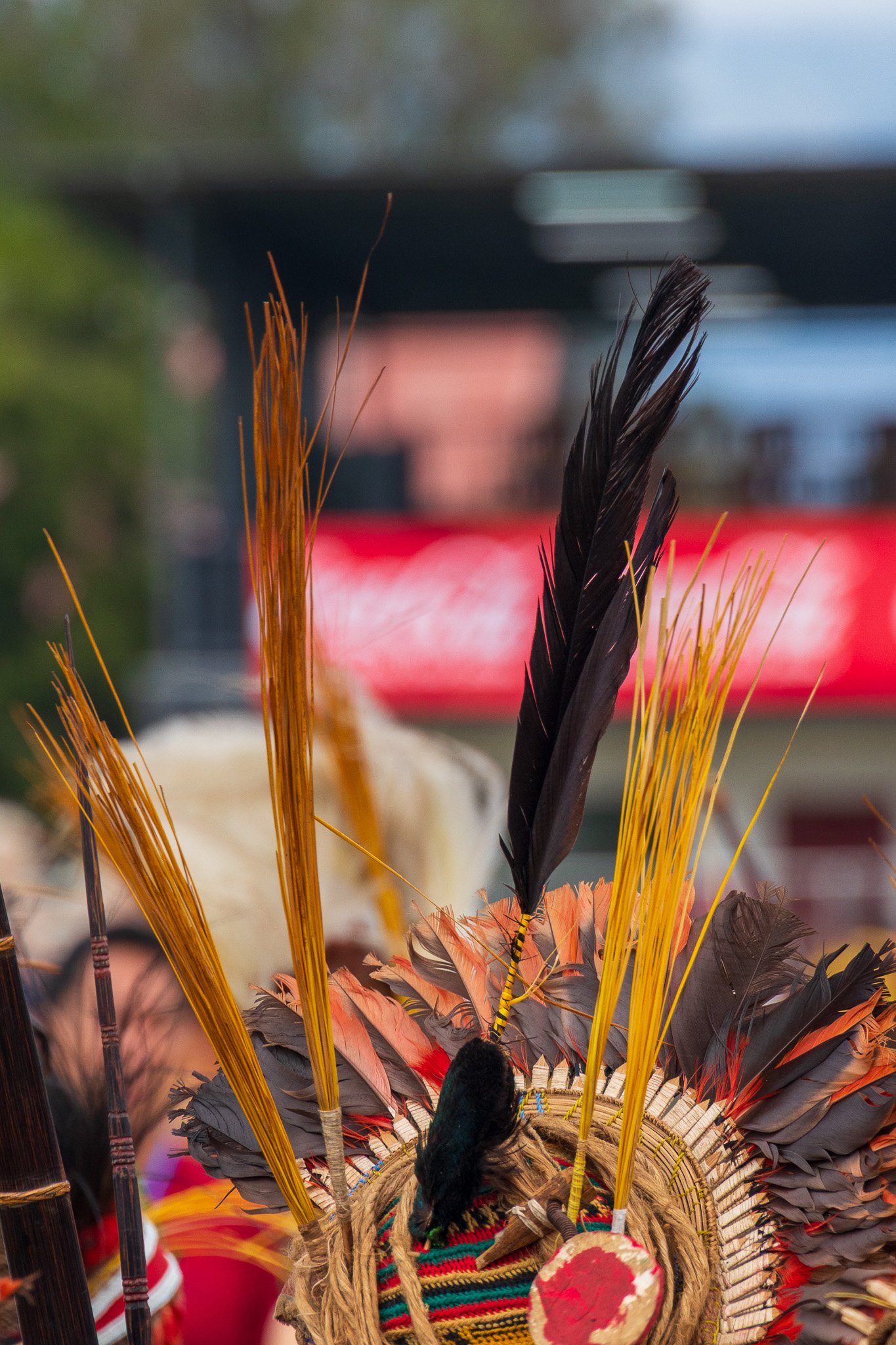 papua_20set26_1081.jpg