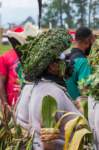 papua_20set26_1109_small.jpg