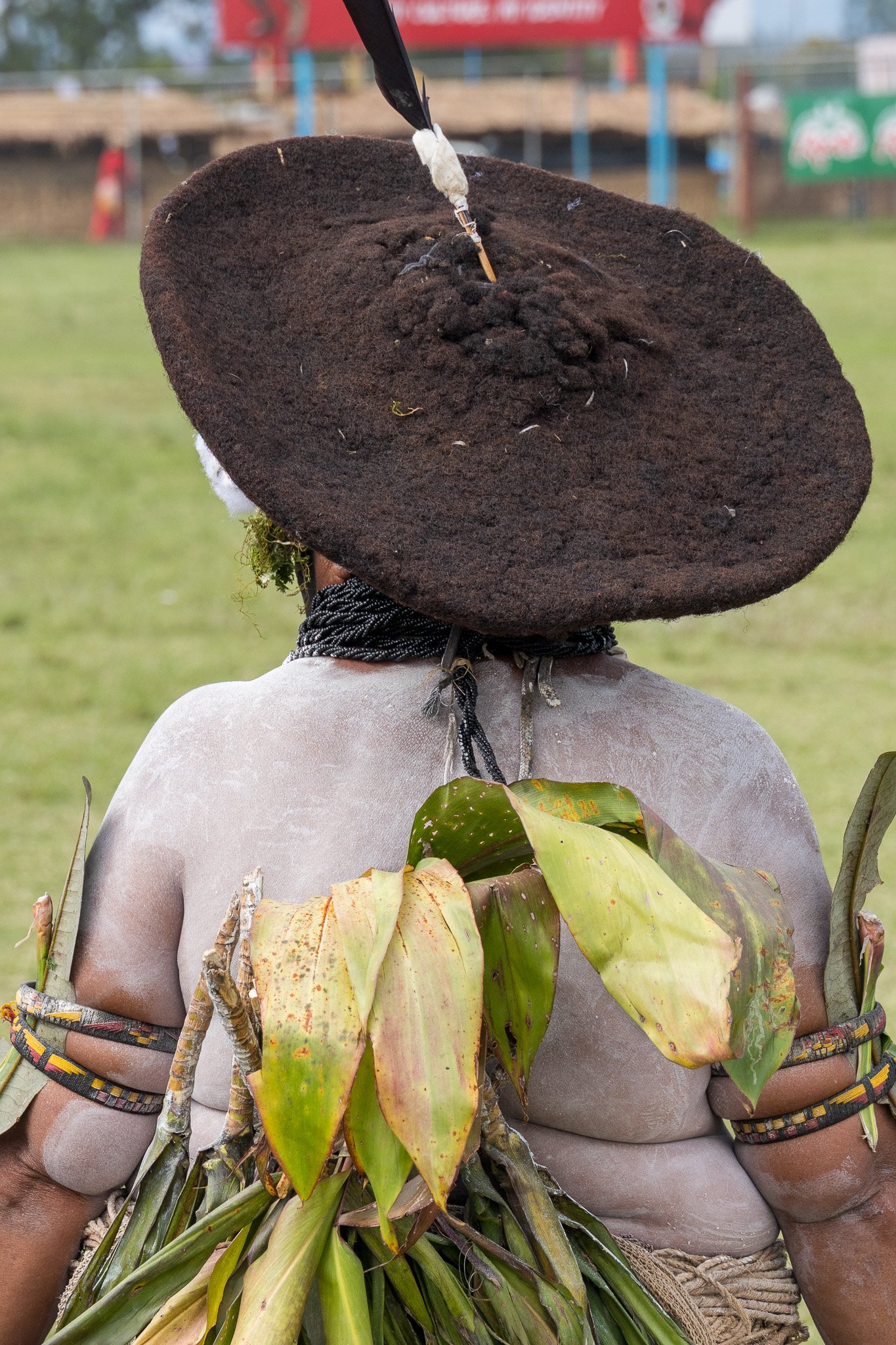 papua_20set26_1115.jpg