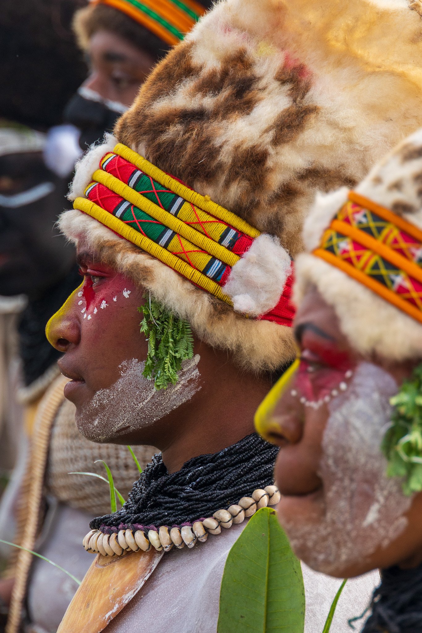 papua_20set26_1127.jpg