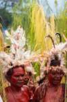 papua_20set26_1181_small.jpg