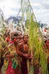papua_20set26_1187_small.jpg