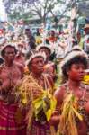 papua_20set26_1233_small.jpg