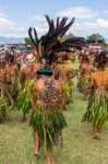 papua_20set26_1240_small.jpg