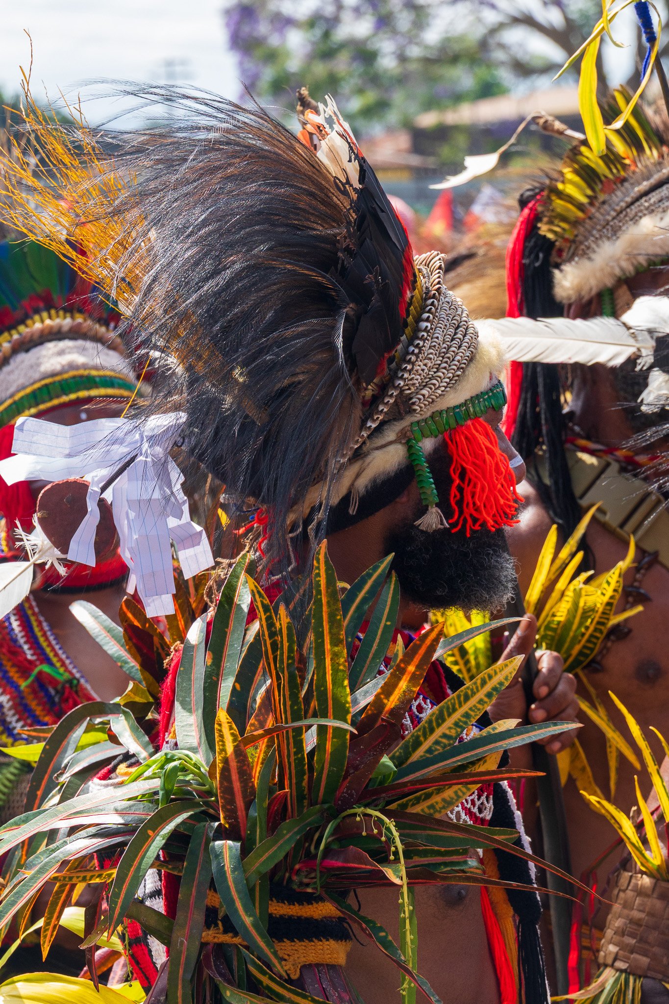 papua_20set26_1274.jpg