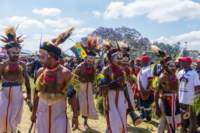papua_20set26_1308_small.jpg