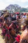 papua_20set26_1318_small.jpg