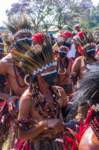 papua_20set26_1320_small.jpg