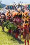 papua_20set26_1450_small.jpg