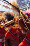 papua_20set26_1459_small.jpg