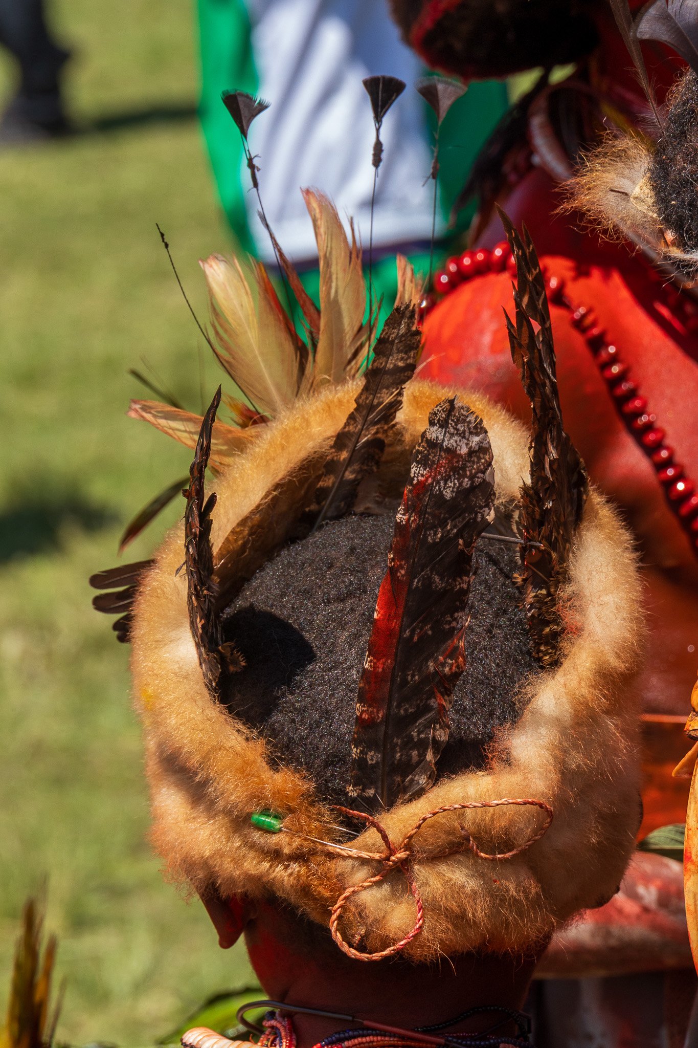 papua_20set26_1463.jpg