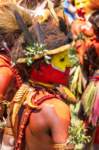 papua_20set26_1464_small.jpg