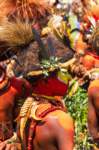 papua_20set26_1466_small.jpg