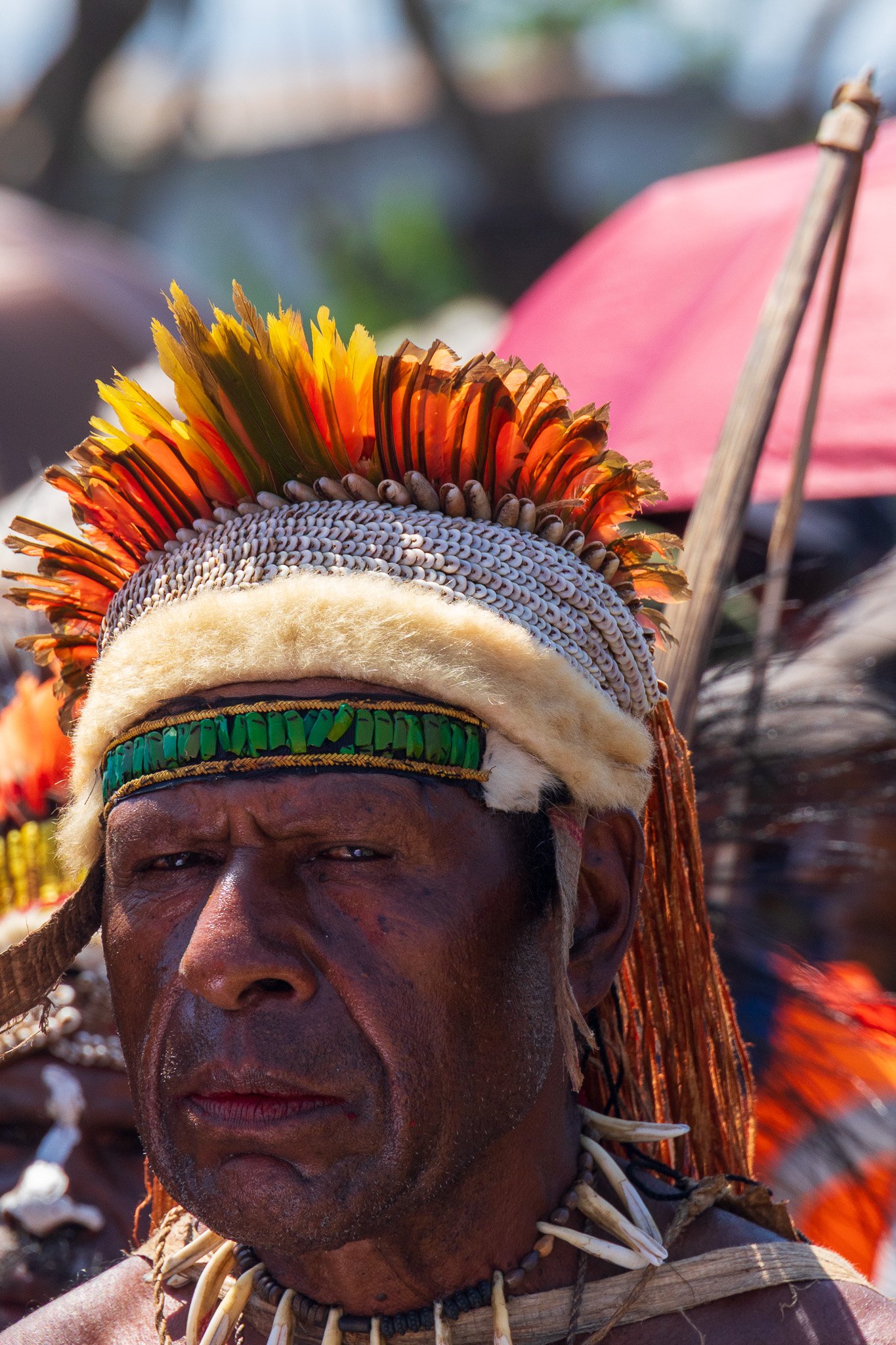 papua_20set26_1489.jpg