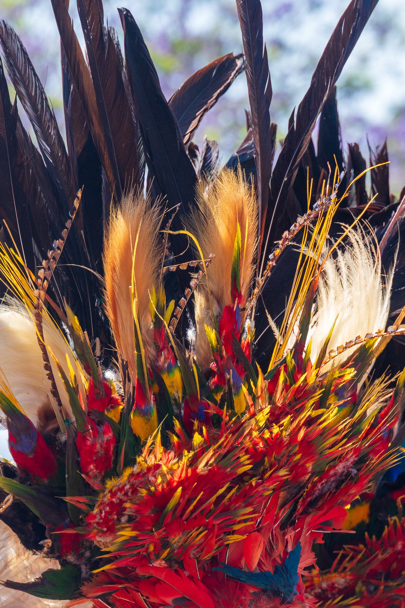 papua_20set26_1503.jpg