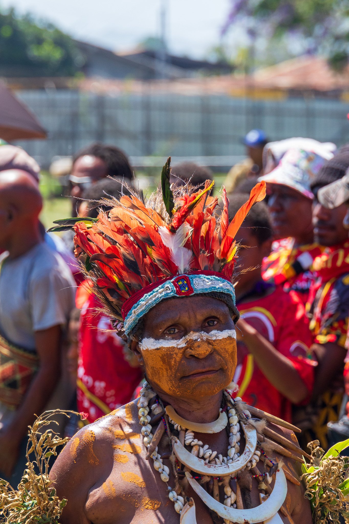 papua_20set26_1516.jpg