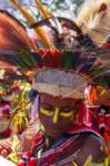 papua_20set26_1533_small.jpg