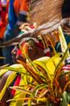 papua_20set26_1539_small.jpg