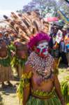 papua_20set26_1584_small.jpg