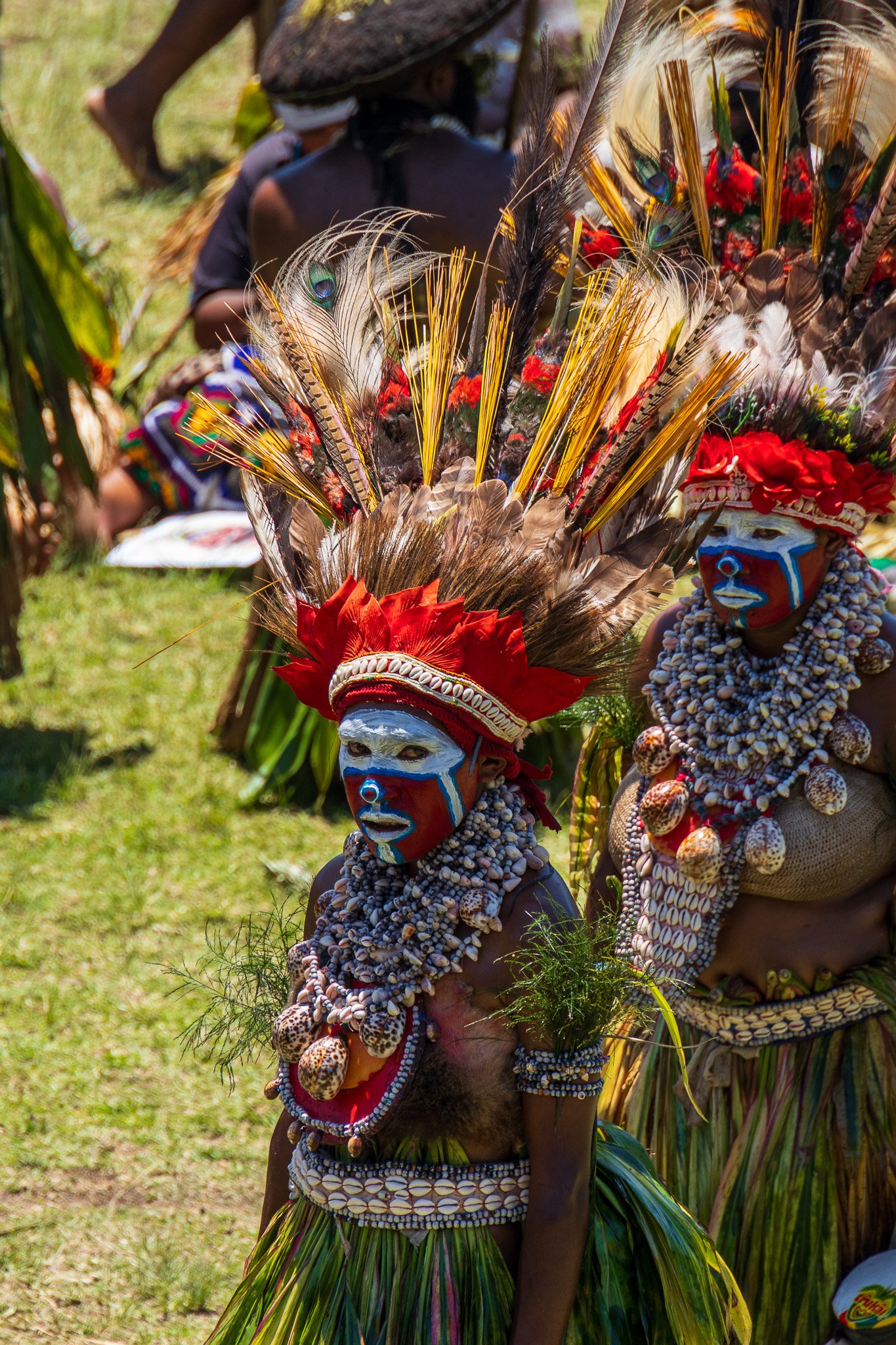 papua_20set26_1628.jpg