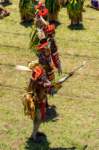 papua_20set26_1709_small.jpg
