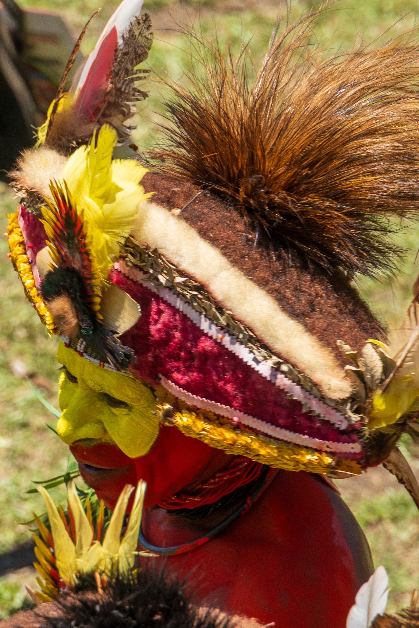 papua_20set26_1731.jpg