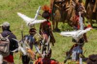papua_20set26_1802_small.jpg