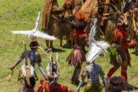 papua_20set26_1803_small.jpg