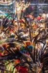 papua_20set26_1847_small.jpg