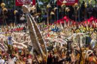 papua_20set26_1849_small.jpg