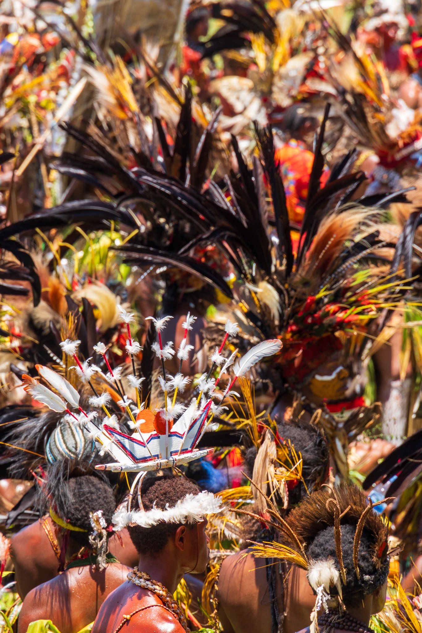 papua_20set26_1856.jpg