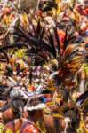 papua_20set26_1856_small.jpg