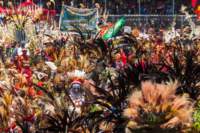 papua_20set26_1859_small.jpg