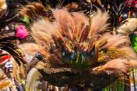 papua_20set26_1862_small.jpg