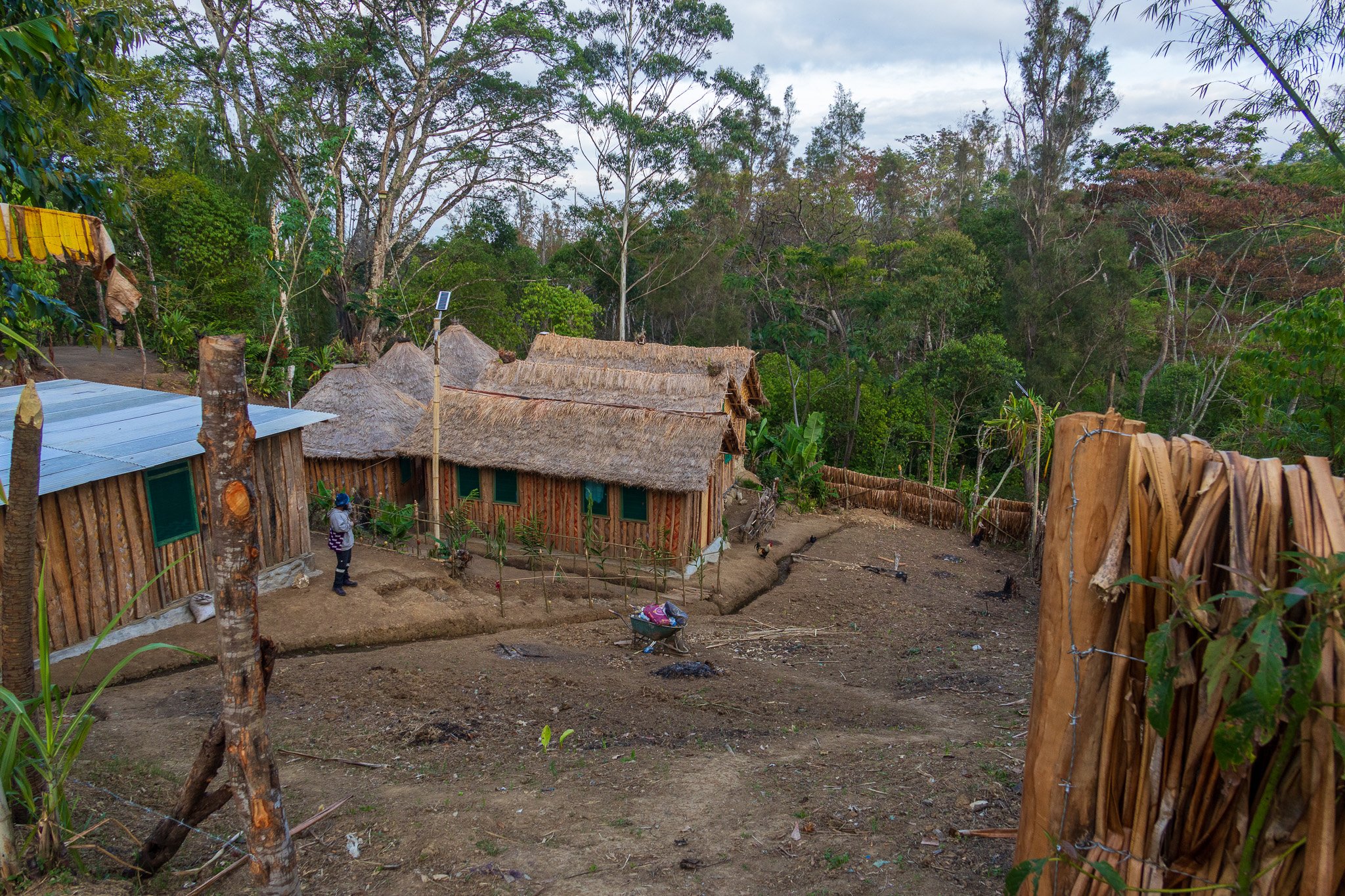 papua_22set26_2097.jpg