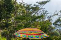 papua_22set26_2109_small.jpg