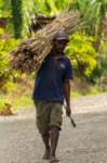 papua_22set26_2113_small.jpg