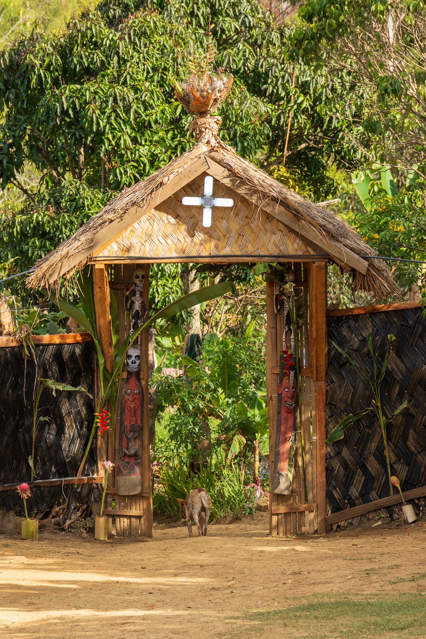 papua_22set26_2116.jpg