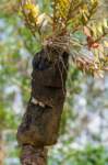 papua_22set26_2135_small.jpg